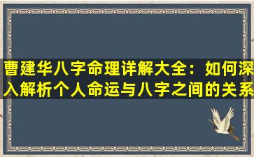 曹建华八字命理详解大全：如何深入解析个人命运与八字之间的关系