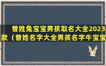 曾姓兔宝宝男孩取名大全2023款（曾姓名字大全男孩名字牛宝宝）