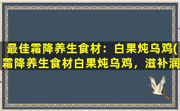 最佳霜降养生食材：白果炖乌鸡(霜降养生食材白果炖乌鸡，滋补润肺抗寒，营养美味好享受！)