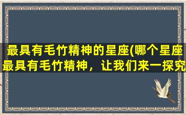 最具有毛竹精神的星座(哪个星座最具有毛竹精神，让我们来一探究竟！)