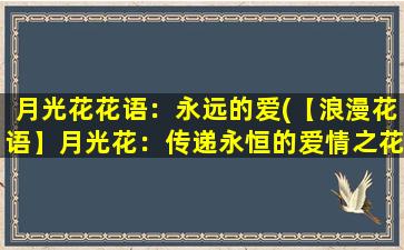 月光花花语：永远的爱(【浪漫花语】月光花：传递永恒的爱情之花)