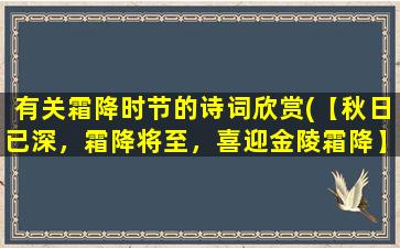 有关霜降时节的诗词欣赏(【秋日已深，霜降将至，喜迎金陵霜降】)