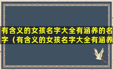 有含义的女孩名字大全有涵养的名字（有含义的女孩名字大全有涵养的名字有哪些）