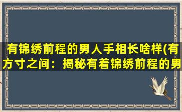 有锦绣前程的男人手相长啥样(有方寸之间：揭秘有着锦绣前程的男性手相特征)