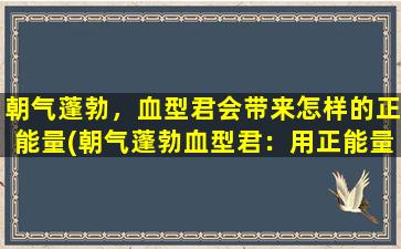 朝气蓬勃，血型君会带来怎样的正能量(朝气蓬勃血型君：用正能量点亮生活！)