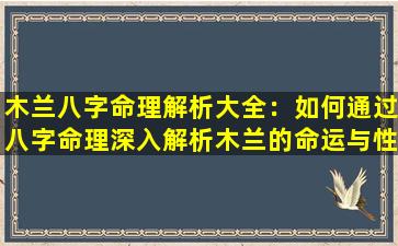 木兰八字命理解析大全：如何通过八字命理深入解析木兰的命运与性格