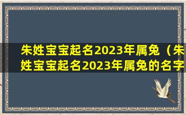 朱姓宝宝起名2023年属兔（朱姓宝宝起名2023年属兔的名字）