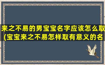 来之不易的男宝宝名字应该怎么取(宝宝来之不易怎样取有意义的名字)