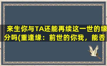 来生你与TA还能再续这一世的缘分吗(重逢缘：前世的你我，能否再度相守？)