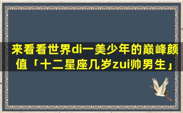 来看看世界di一美少年的巅峰颜值「十二星座几岁zui帅男生」