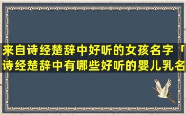 来自诗经楚辞中好听的女孩名字「诗经楚辞中有哪些好听的婴儿乳名」