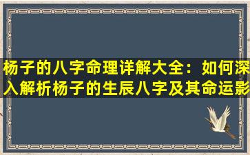 杨子的八字命理详解大全：如何深入解析杨子的生辰八字及其命运影响