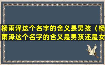 杨雨泽这个名字的含义是男孩（杨雨泽这个名字的含义是男孩还是女孩）