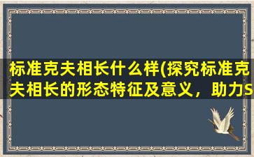 标准克夫相长什么样(探究标准克夫相长的形态特征及意义，助力SEO优化)