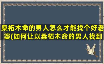 桑柘木命的男人怎么才能找个好老婆(如何让以桑柘木命的男人找到如意佳偶)