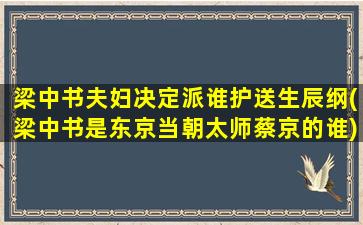 梁中书夫妇决定派谁护送生辰纲(梁中书是东京当朝太师蔡京的谁)