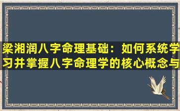 梁湘润八字命理基础：如何系统学习并掌握八字命理学的核心概念与应用技巧