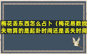 梅花丢东西怎么占卜（梅花易数找失物算的是起卦时间还是丢失时间）