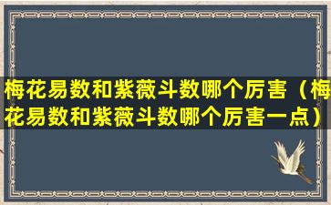 梅花易数和紫薇斗数哪个厉害（梅花易数和紫薇斗数哪个厉害一点）