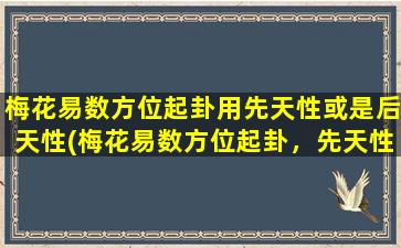 梅花易数方位起卦用先天性或是后天性(梅花易数方位起卦，先天性与后天性对照表，准确指南助你轻松把握每个卦象！)