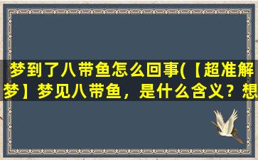 梦到了八带鱼怎么回事(【超准解梦】梦见八带鱼，是什么含义？想知道解梦小技巧，教你如何做梦都不怕！)