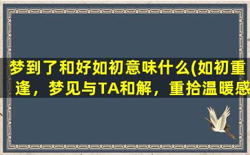 梦到了和好如初意味什么(如初重逢，梦见与TA和解，重拾温暖感觉)