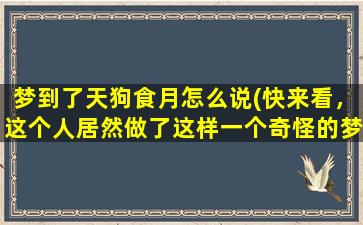 梦到了天狗食月怎么说(快来看，这个人居然做了这样一个奇怪的梦！)