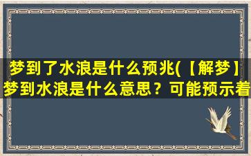 梦到了水浪是什么预兆(【解梦】梦到水浪是什么意思？可能预示着什么！)