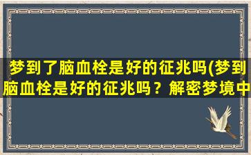 梦到了脑血栓是好的征兆吗(梦到脑血栓是好的征兆吗？解密梦境中的健康预兆)