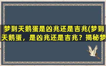 梦到天鹅蛋是凶兆还是吉兆(梦到天鹅蛋，是凶兆还是吉兆？揭秘梦境预示的含义)