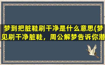 梦到把脏鞋刷干净是什么意思(梦见刷干净脏鞋，周公解梦告诉你潜意识深处的含义)