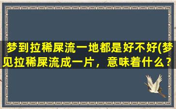 梦到拉稀屎流一地都是好不好(梦见拉稀屎流成一片，意味着什么？如何化解？)