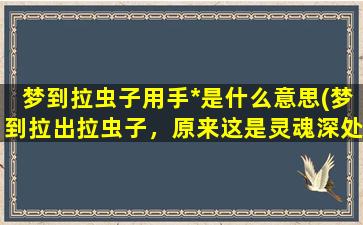 梦到拉虫子用手*是什么意思(梦到拉出拉虫子，原来这是灵魂深处的解放！)