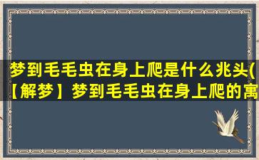 梦到毛毛虫在身上爬是什么兆头(【解梦】梦到毛毛虫在身上爬的寓意与解析)