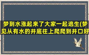 梦到水涨起来了大家一起逃生(梦见从有水的井底往上爬爬到井口好不好)