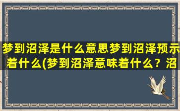 梦到沼泽是什么意思梦到沼泽预示着什么(梦到沼泽意味着什么？沼泽梦的解析及预示)