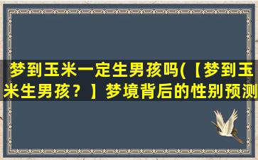 梦到玉米一定生男孩吗(【梦到玉米生男孩？】梦境背后的性别预测，解读梦境暗示。)