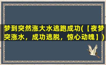 梦到突然涨大水逃跑成功(【夜梦突涨水，成功逃脱，惊心动魄】)