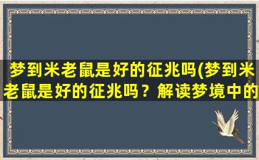 梦到米老鼠是好的征兆吗(梦到米老鼠是好的征兆吗？解读梦境中的米老鼠象征及其象征意义)