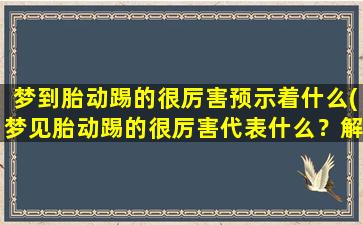 梦到胎动踢的很厉害预示着什么(梦见胎动踢的很厉害代表什么？解梦大揭秘！)