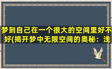 梦到自己在一个很大的空间里好不好(揭开梦中无限空间的奥秘：浅析背后隐藏的脑科学现象)