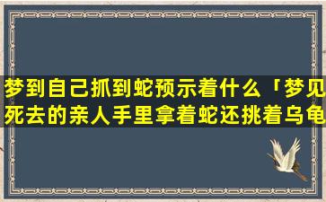 梦到自己抓到蛇预示着什么「梦见死去的亲人手里拿着蛇还挑着乌龟」