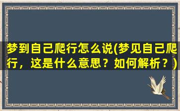 梦到自己爬行怎么说(梦见自己爬行，这是什么意思？如何解析？)