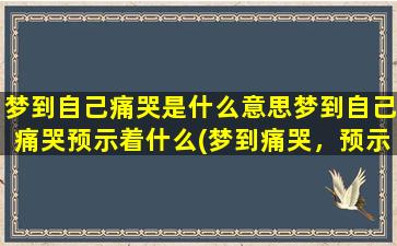 梦到自己痛哭是什么意思梦到自己痛哭预示着什么(梦到痛哭，预示着什么？解梦专家为你揭秘！)