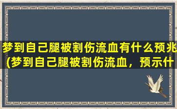 梦到自己腿被割伤流血有什么预兆(梦到自己腿被割伤流血，预示什么？解梦大揭秘！)