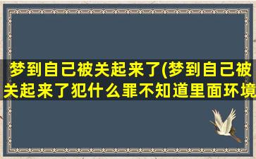 梦到自己被关起来了(梦到自己被关起来了犯什么罪不知道里面环境很好)