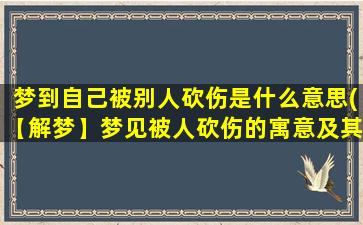 梦到自己被别人砍伤是什么意思(【解梦】梦见被人砍伤的寓意及其解析)