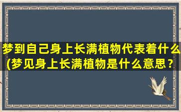 梦到自己身上长满植物代表着什么(梦见身上长满植物是什么意思？分析、解读及应对策略)