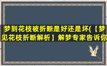 梦到花枝被折断是好还是坏(【梦见花枝折断解析】解梦专家告诉你：折断花枝是好是坏？)