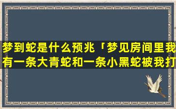 梦到蛇是什么预兆「梦见房间里我有一条大青蛇和一条小黑蛇被我打死了，这象征着什么。我是学生」